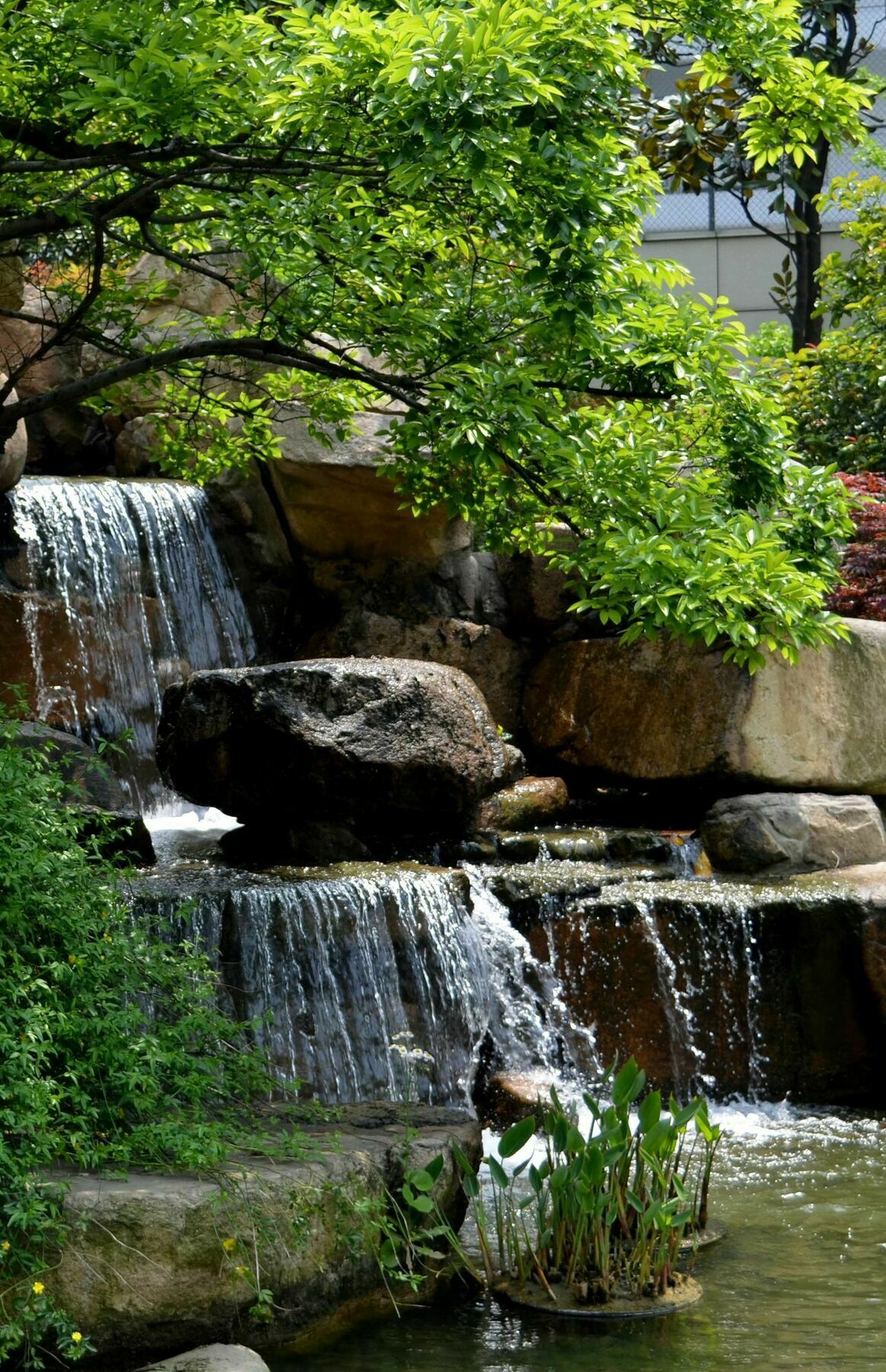 Millennium Hotel Wuxi Wuxi  Exterior photo
